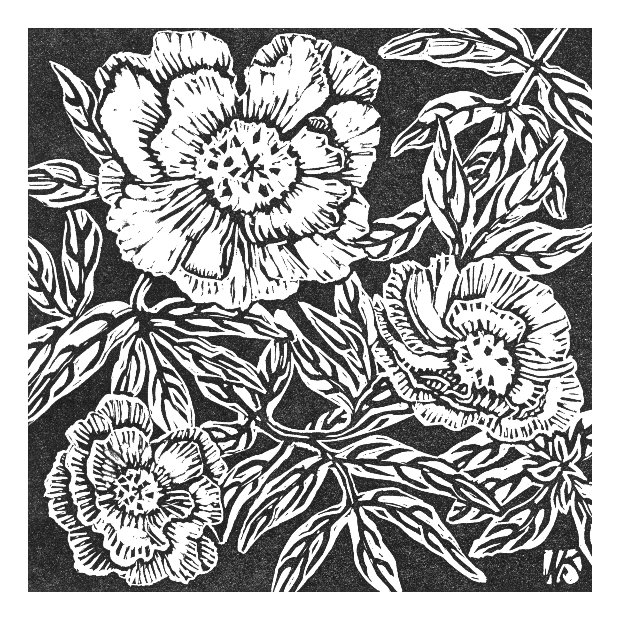 Wendy Shaft's handcarved peony image. Wendy carves her designs into linoleum and then prints the design on textiles and paper.