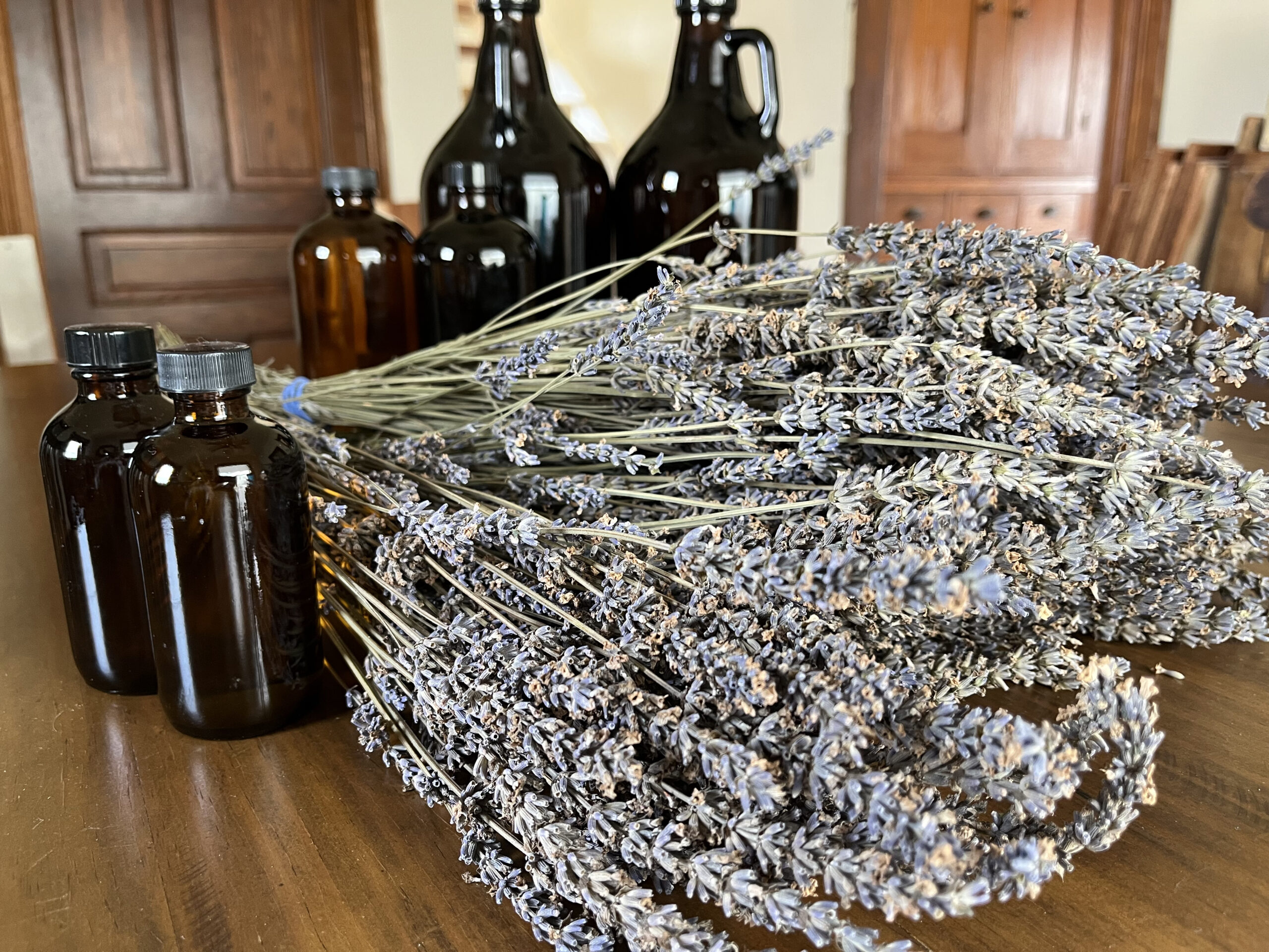 Dried lavender with dark bottles behind and wooden doors in the background. Grown on "Ocimeae Lavender Farm"