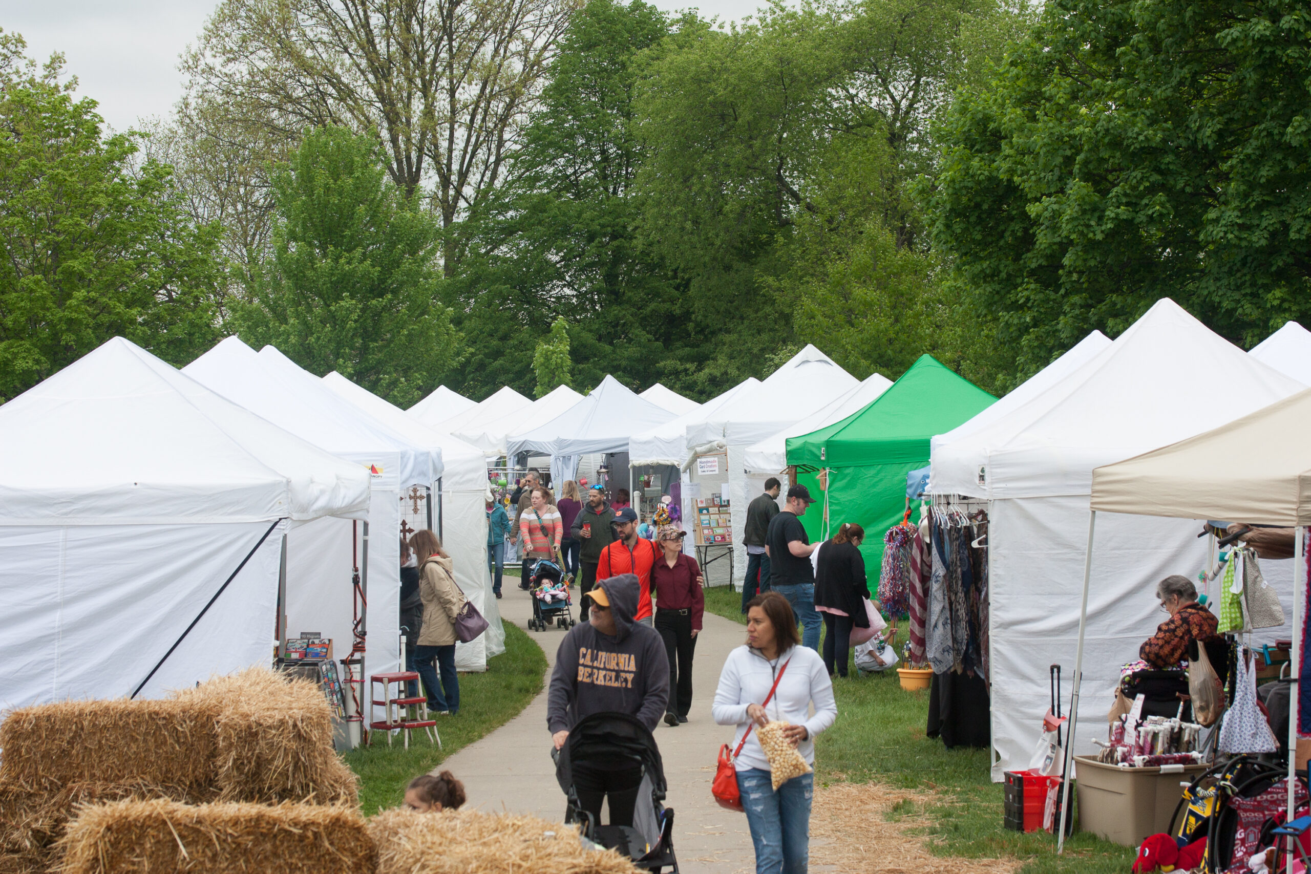 Frequently Asked Questions — Artists Rochester Heritage Days